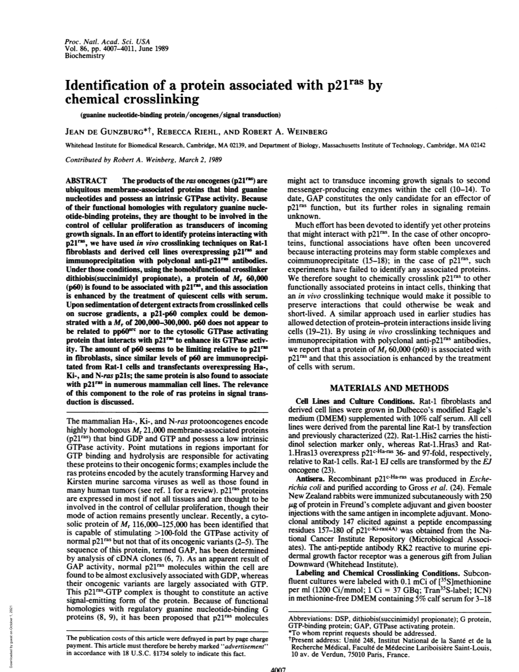 Identification of a Protein Associated with P2lras by Chemical Crosslinking