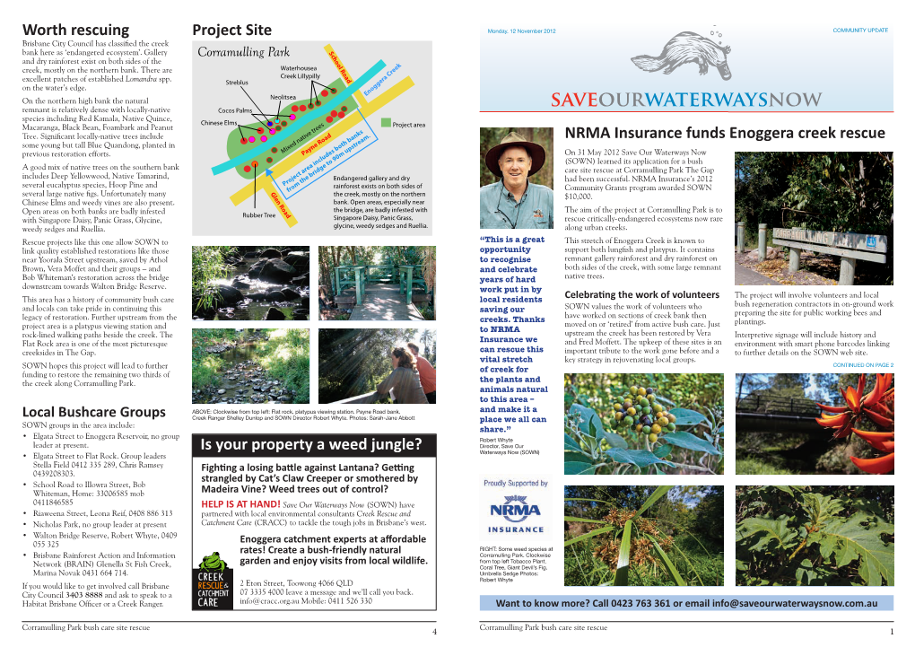 Saveourwaterwaysnow Species Including Red Kamala, Native Quince, Chinese Elms Macaranga, Black Bean, Foambark and Peanut Project Area Tree