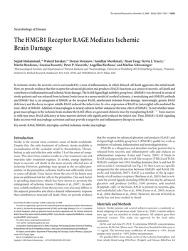 The HMGB1 Receptor RAGE Mediates Ischemic Brain Damage