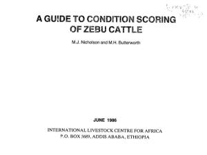 Of Zebu Cattle