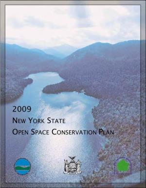 2009 New York State Open Space Plan