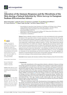 Alteration of the Immune Response and the Microbiota of the Skin During a Natural Infection by Vibrio Harveyi in European Seabass (Dicentrarchus Labrax)