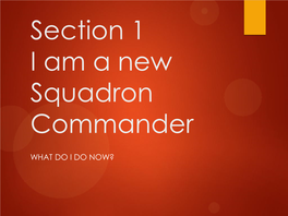 I Am a New Squadron Commander-What Do I Do Now?