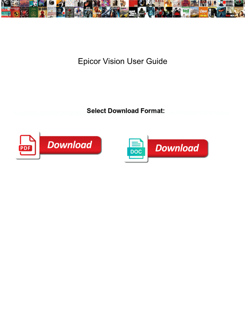 Epicor Vision User Guide