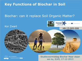 Key Functions of Biochar in Soil