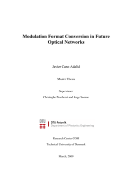 Modulation Format Conversion in Future Optical Networks