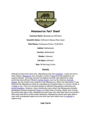 Mosasaurus Fact Sheet