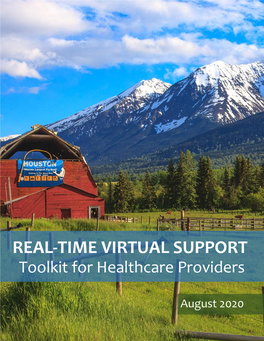 REAL-TIME VIRTUAL SUPPORT Toolkit for Healthcare Providers