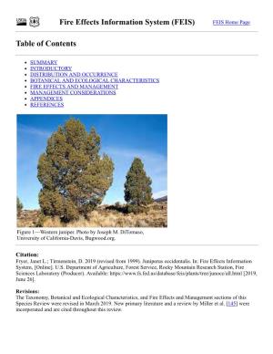 Juniperus Occidentalis