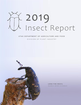 2019 UDAF Insect Report