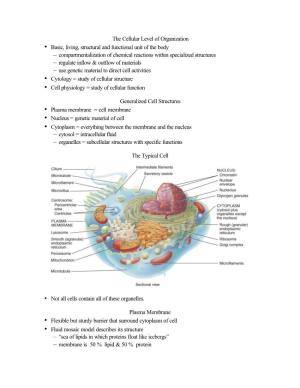 The Cellular Level of Organization • Basic, Living, Structural and Functional Unit of the Body – Compartmentalization Of