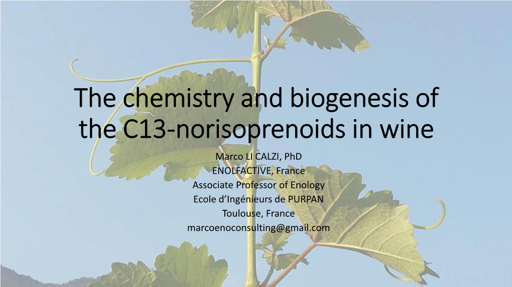 From Carotenoids to Norisoprenoids Summary