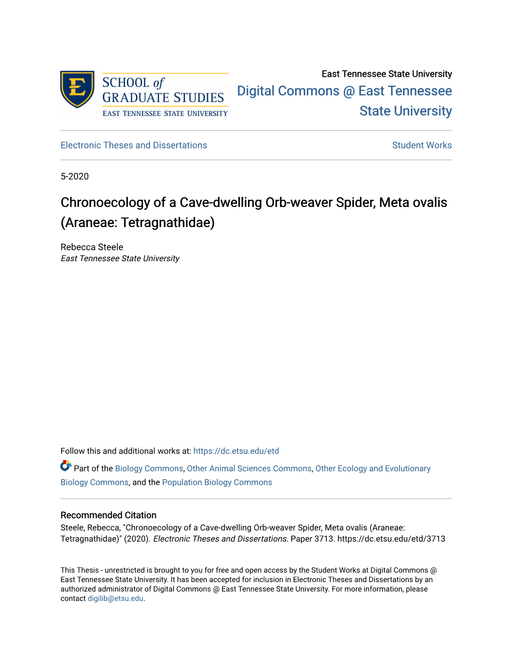 Chronoecology of a Cave-Dwelling Orb-Weaver Spider, Meta Ovalis (Araneae: Tetragnathidae)