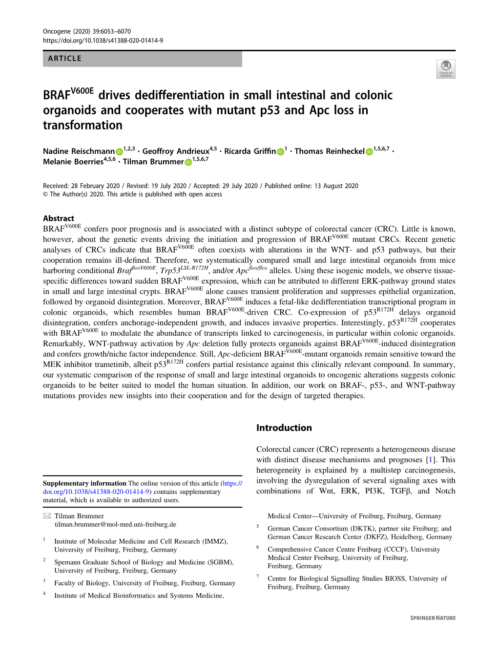 BRAFV600E Drives Dedifferentiation in Small Intestinal and Colonic Organoids and Cooperates with Mutant P53 and Apc Loss in Transformation