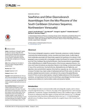 Sawfishes and Other Elasmobranch Assemblages from the Mio-Pliocene of the South Caribbean (Urumaco Sequence, Northwestern Venezuela)