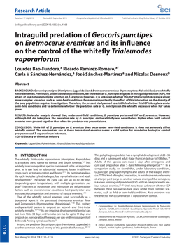 Intraguild Predation of Geocoris Punctipes on Eretmocerus Eremicus