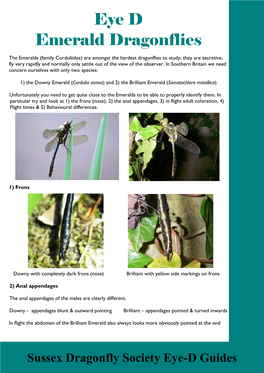 Identify...Emerald Dragonflies