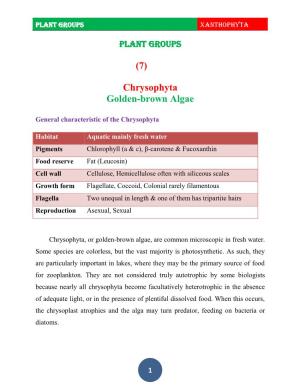 (7) Chrysophyta Golden-Brown Algae