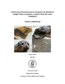 Sealworms (Pseudoterranova Decipiens) in Shorthorn Sculpin (Myoxocephalus Scorpius) from the Outer Oslofjord