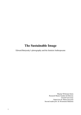 The Sustainable Image