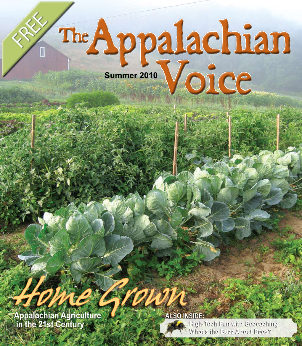 Appalachian Agriculture in the 21St Century