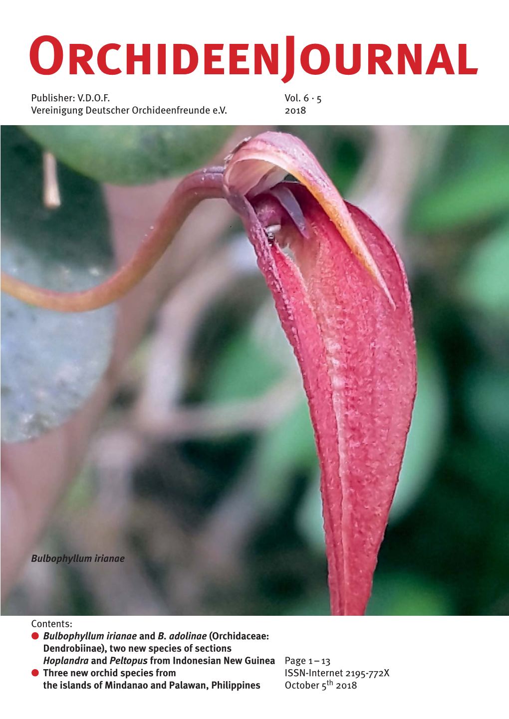 Bulbophyllum Irianae and B. Adolinae (Orchidaceae: Dendrobiinae), Two