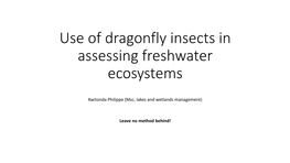 Dragonfly Biotic Index (BDI)