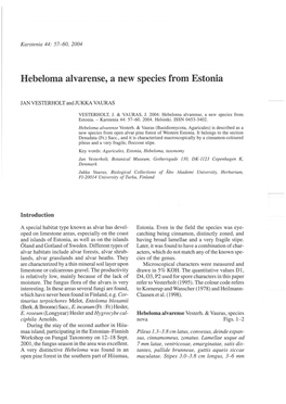 Hebeloma Alvarense, a New Species from Estonia