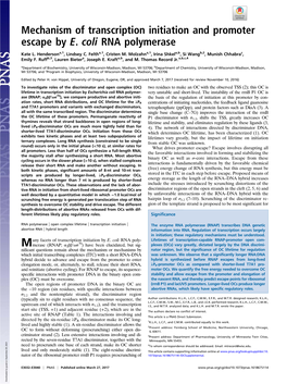 Mechanism of Transcription Initiation and Promoter Escape by E. Coli RNA Polymerase