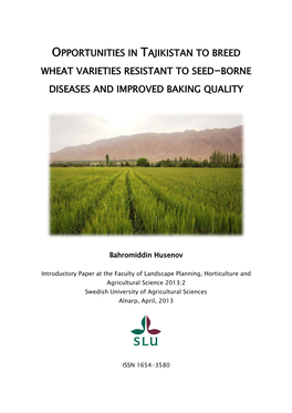 Opportunities in Tajikistan to Breed Wheat Varieties Resistant to Seed-Borne Diseases and Improved Baking Quality