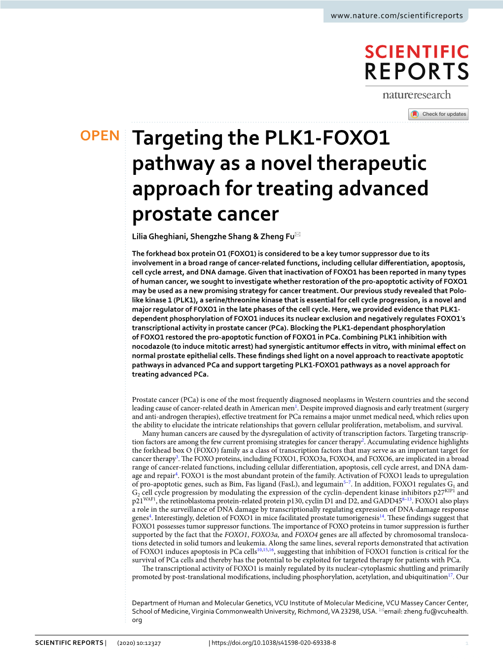 Targeting the PLK1-FOXO1 Pathway As a Novel Therapeutic Approach For