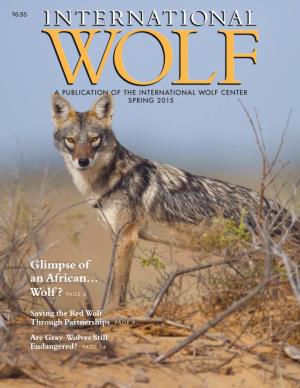 Glimpse of an African… Wolf? Cécile Bloch