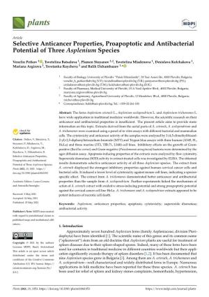 Selective Anticancer Properties, Proapoptotic and Antibacterial Potential of Three Asplenium Species