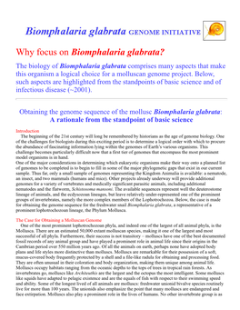 Biomphalaria Glabrata? the Biology of Biomphalaria Glabrata Comprises Many Aspects That Make This Organism a Logical Choice for a Molluscan Genome Project