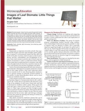 Images of Leaf Stomata