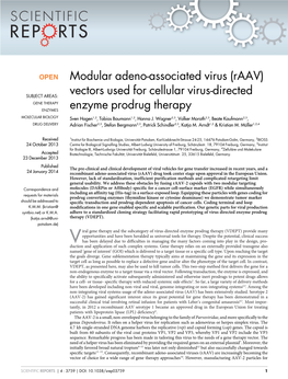 Modular Adeno-Associated Virus (Raav)
