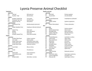 Lyonia Preserve Animal Checklist