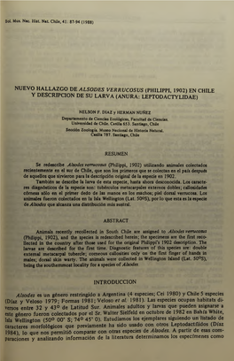 Nuevo Hallazgo De Alsodes Verrucosus (Philippi, 1902) En Chile Y Descripcion De Su Larva (Anura: Leptodactylidae) Introduccion A