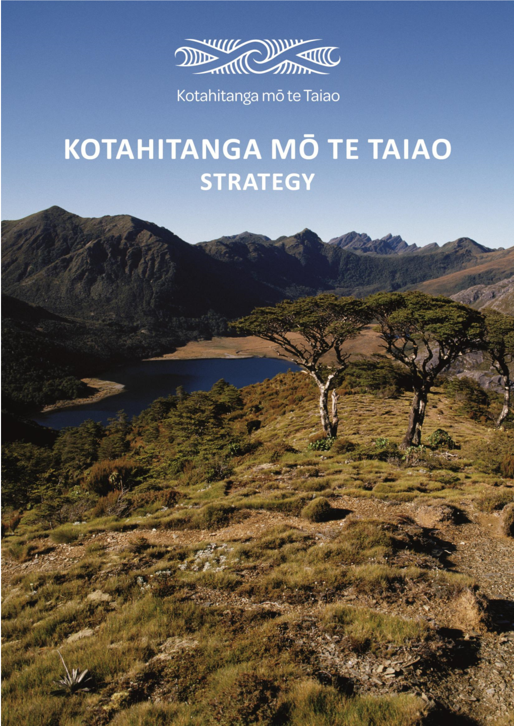 Kotahitanga Mō Te Taiao Strategy