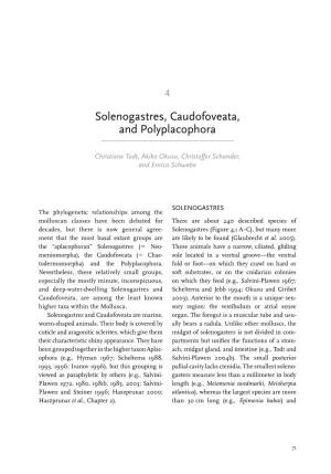 Solenogastres, Caudofoveata, and Polyplacophora