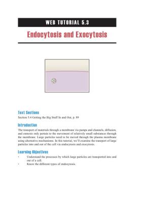 Endocytosis and Exocytosis