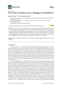 Picea Abies–Armillaria–Ips: a Strategy Or Coincidence?