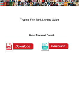 Tropical Fish Tank Lighting Guide