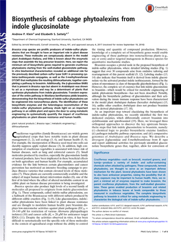 Biosynthesis of Cabbage Phytoalexins from Indole Glucosinolate