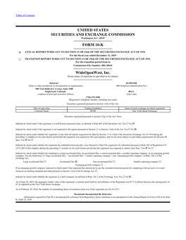 United States Securities and Exchange Commission Form