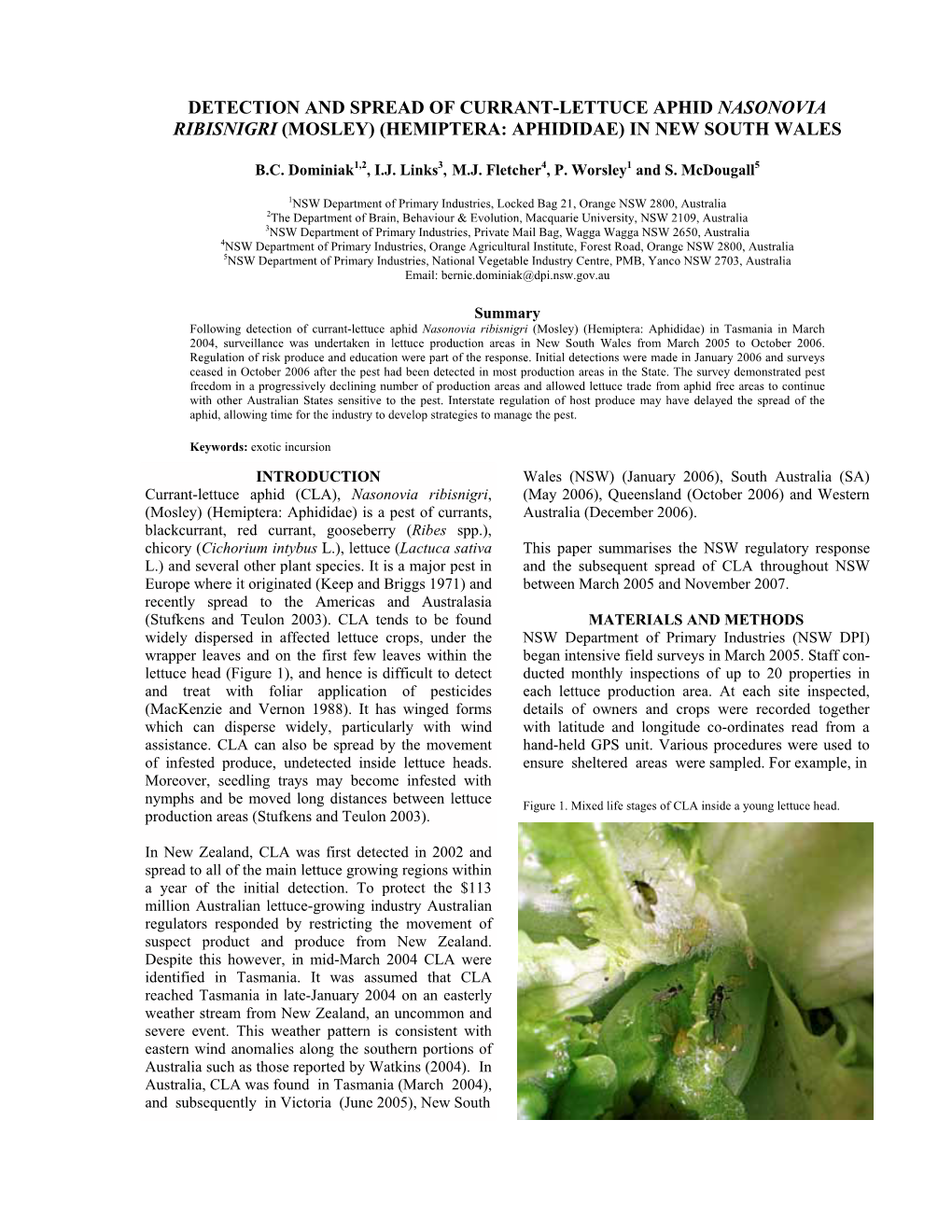 Detection and Spread of Currant-Lettuce Aphid Nasonovia Ribisnigri (Mosley) (Hemiptera: Aphididae) in New South Wales
