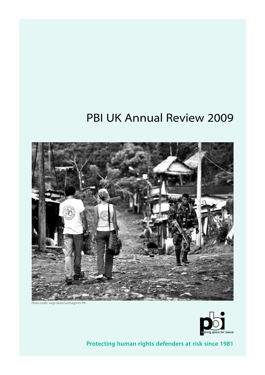 PBI UK Annual Review 2009