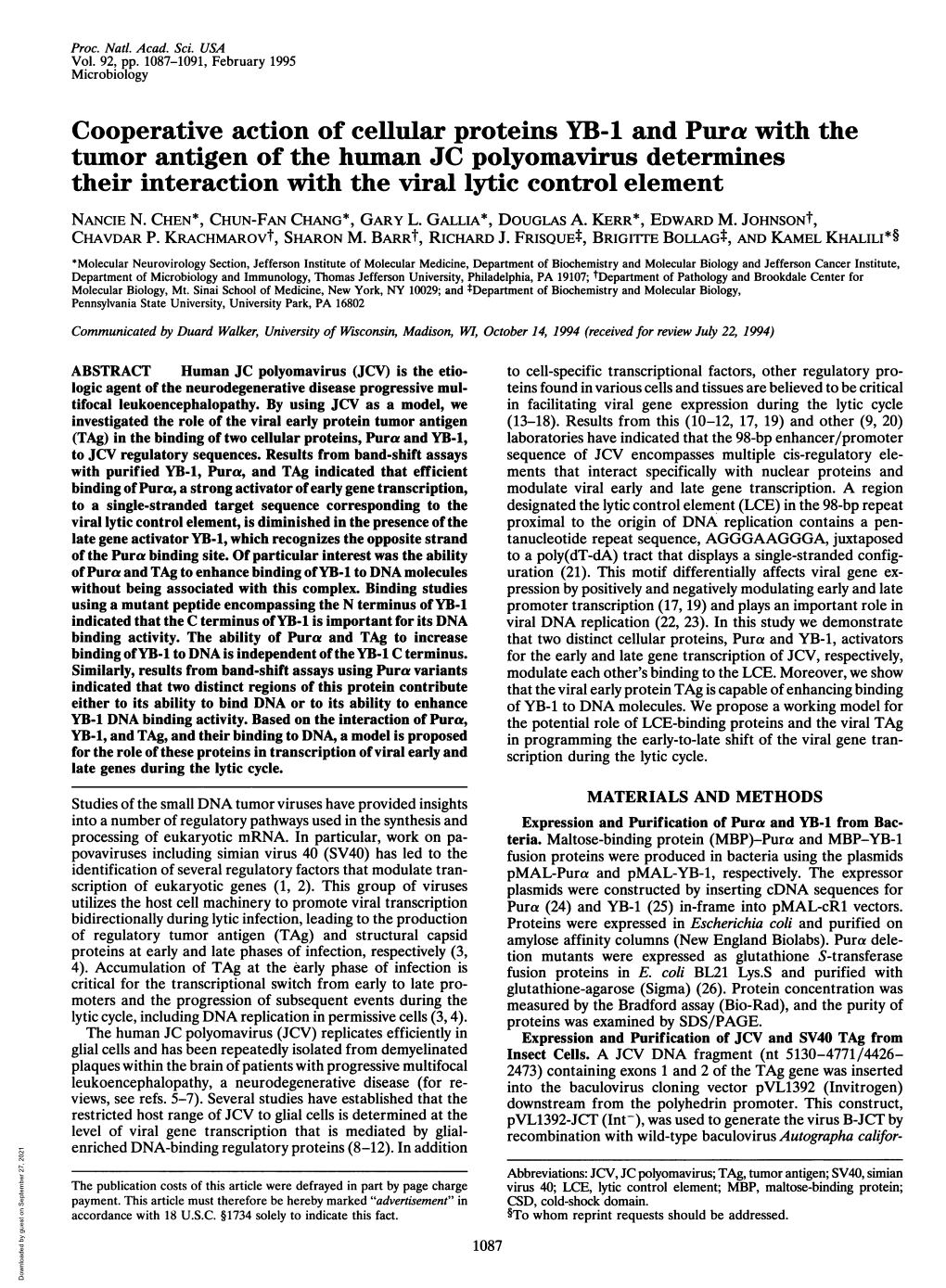 Cooperative Action of Cellular Proteins YB-1 and Pura With