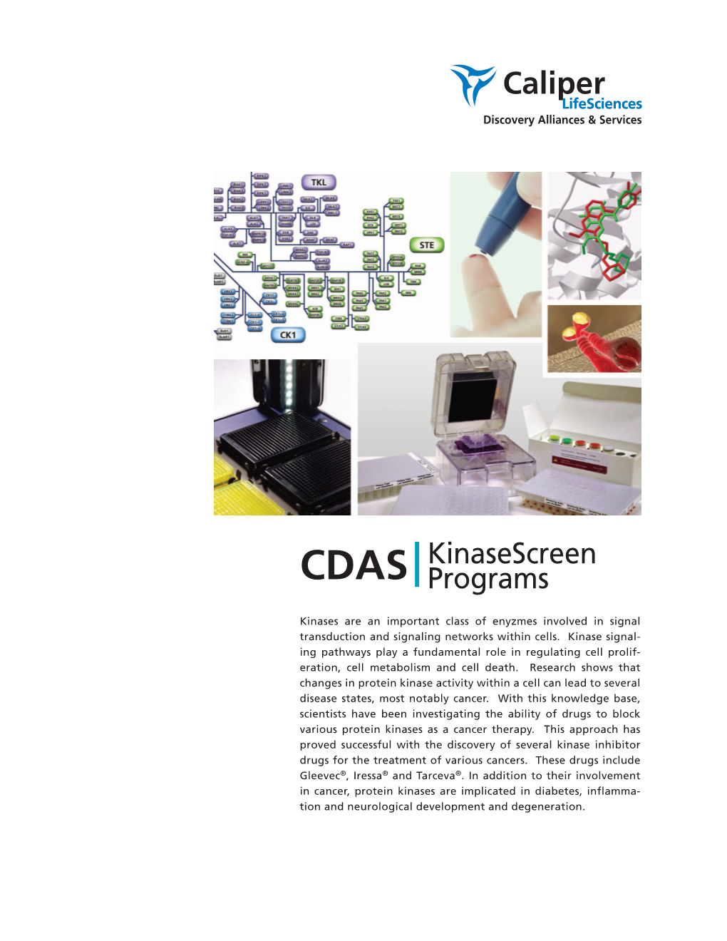 Kinase Brochure (PDF)