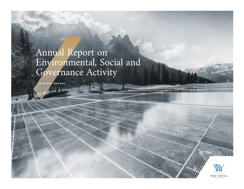 Annual Report on Environmental, Social and Governance Activity 2019 ESG REPORT Disclaimer/Risk Factors